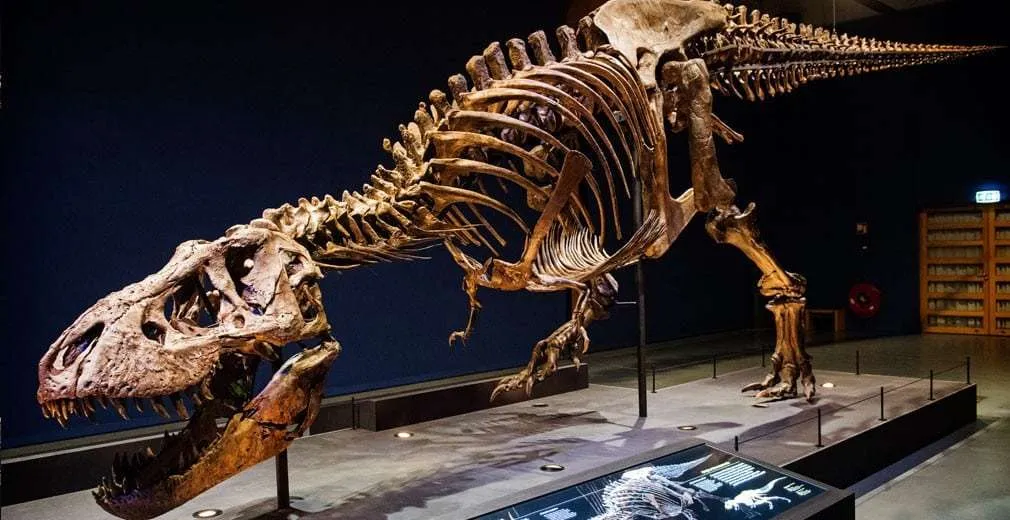 Samen Terug naar de Tijd van de Dinosaurussen