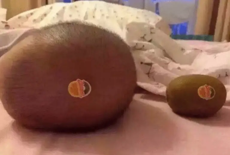 afbeelding van een kiwi.. dad joke