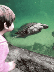 Naar de dierentuin met je Zoon