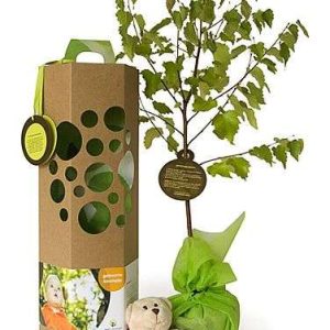geboorteboompje kado voor papa